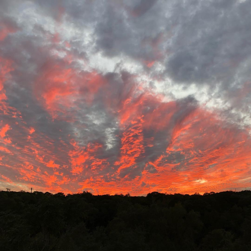 44753609_10214930803176703_5758940167658274816_o