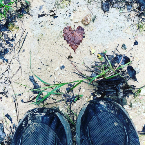 44267135_10214888060468162_6047194183309983744_o