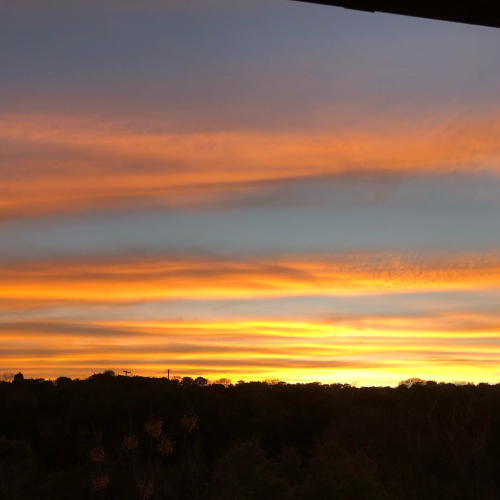 49536010_10215384269953089_6724955209623142400_o