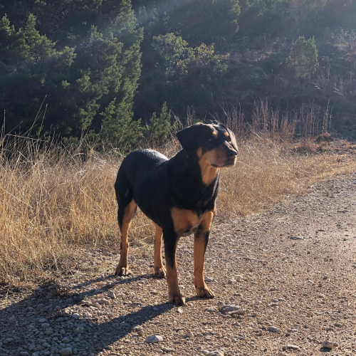 50407306_10215477585405917_7855893860428283904_o