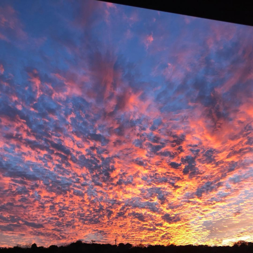 49620871_10215432688523523_1495741507796205568_o