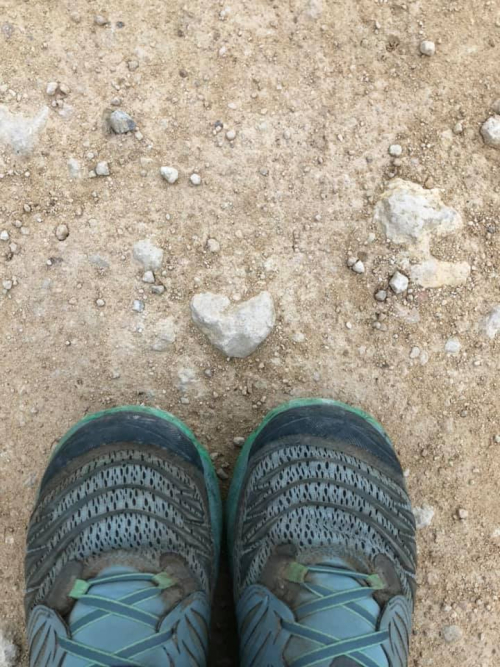 82844995_10218277102472094_1833676312103878656_n