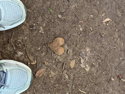 83671478_10157508736693429_4852641517753335808_n