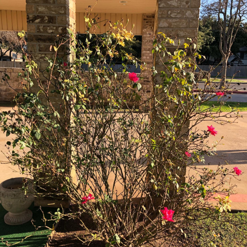 82970883_10218258304602159_3621534007583309824_o