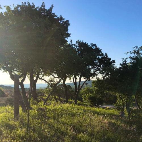 93654214_10219073369858281_1658790874512883712_o