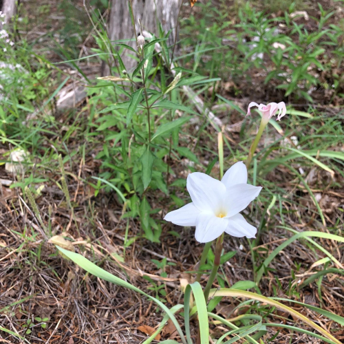 98172958_10219407836019726_6112747629198704640_o