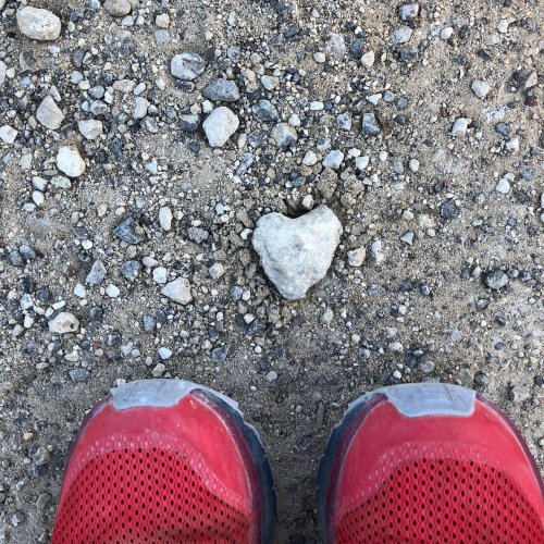 98002372_10219411262905396_4766360452319936512_o