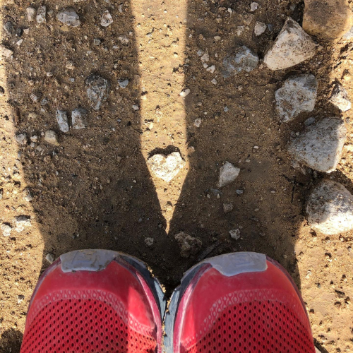 96807673_10219382318181796_1640142732104040448_o