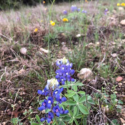 90098384_10218777311136998_500907273929883648_o