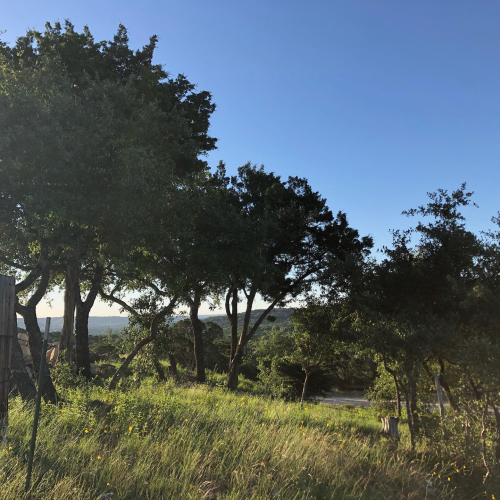 94979746_10219230703711529_3951685287473577984_o