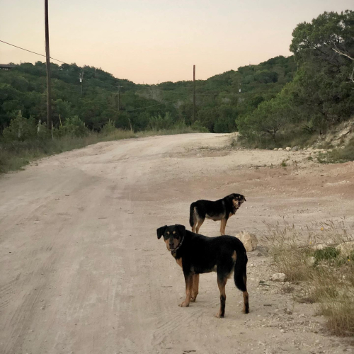 122195292_10220685127871224_1039045577441012455_o