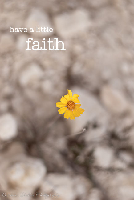 Faith vertical-0003