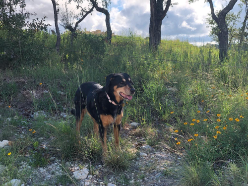 307700582_10224671013355870_6170922093091726501_n