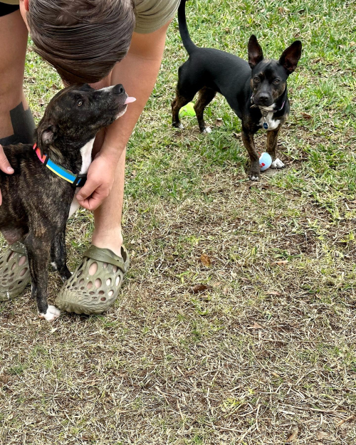 319646073_10225293977849593_4617552341949715407_n