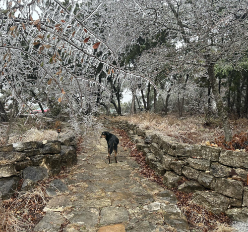 328243381_1547137942472949_1376708118832039893_n