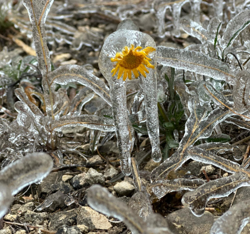 328358370_495628282746963_1415478802413039172_n