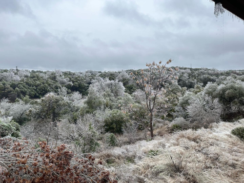 328319600_2133321013504881_2760682535278071484_n