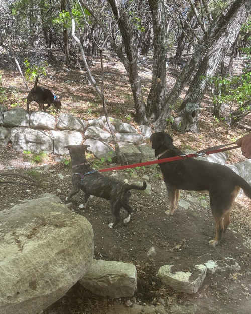 337155563_740652591098083_4676642606462551241_n