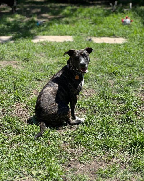 344570881_1415086202588486_3338791847517432748_n