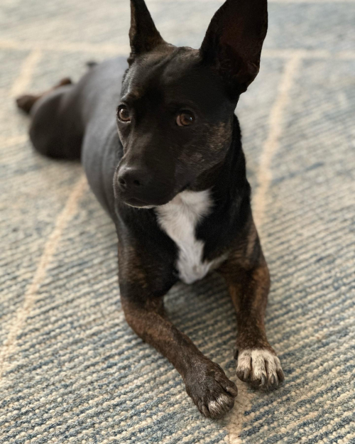 344292330_954176169361359_4898161829618995112_n