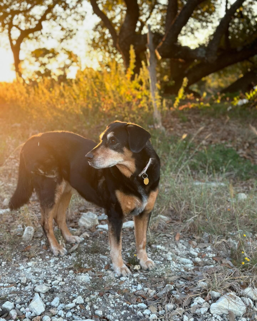 461417692_18457959904039687_815103719307022178_n