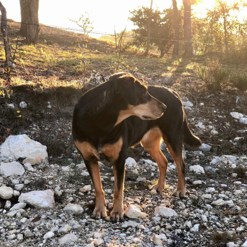 Belle morning Jan 28 20