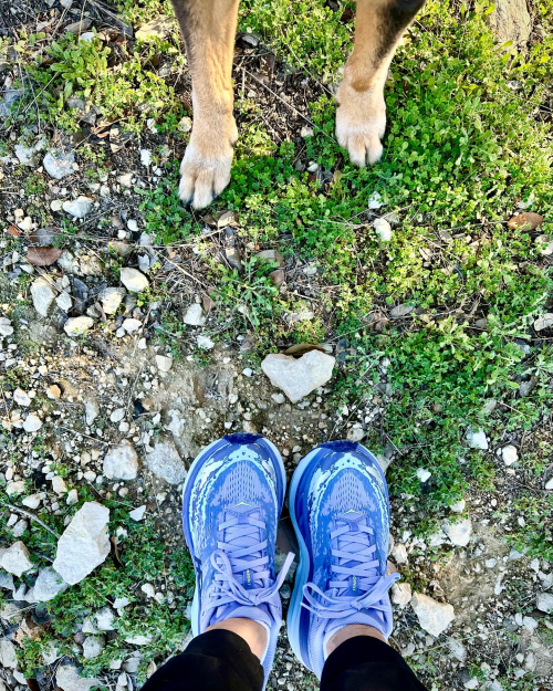 Belle finds a heart rock